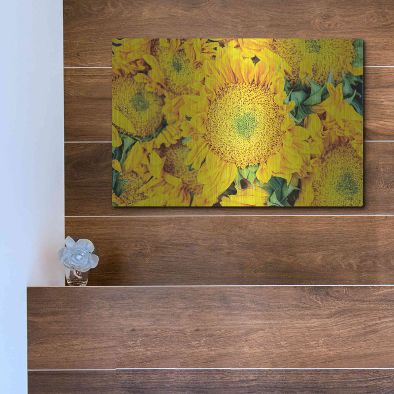 «Sunflower Summer» par Donnie Quillen