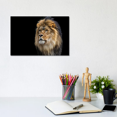 Majestic 1 Piece Wrapped Canvas Wall Art