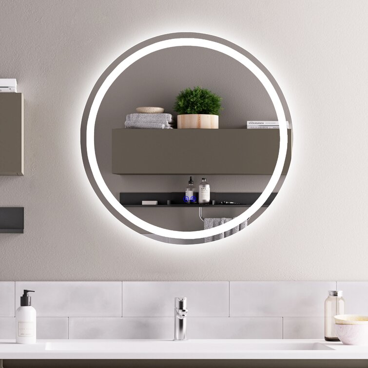 Ivy Bronx 24 in. W x 36 in. H Oval Frameless LED Light Bathroom Vanity  Mirror & Reviews