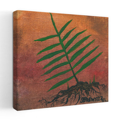 Green Fern Roots Abstract Organic Rustic Fern Nature Wall Art Print by Janine Brewster - Wrapped Canvas Print