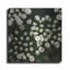 Petites fleurs blanches par Tom Quartermaine-221734436