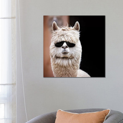 Alpaca In Shades by Karen Burke - Wrapped Canvas Print