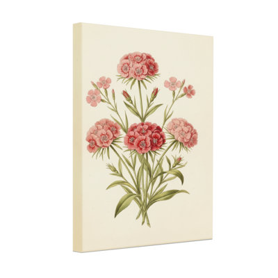 Arrangement floral de plantes et de fleurs avec des fleurs roses et des feuilles vertes