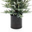 Ensemble de 2 sapins de Noël artificiels verts givrés préilluminés dans des pots en métal noir
