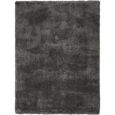 Indoor Rug