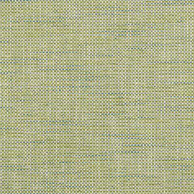 Sagamore Hill Woven's Fabric, Aqua/Green
