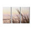 Cape Dune Morning - photographie sur toile tendue 3 pièces-830226069