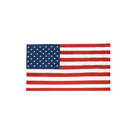 Double Sided Nylon Independence Day House Flag
