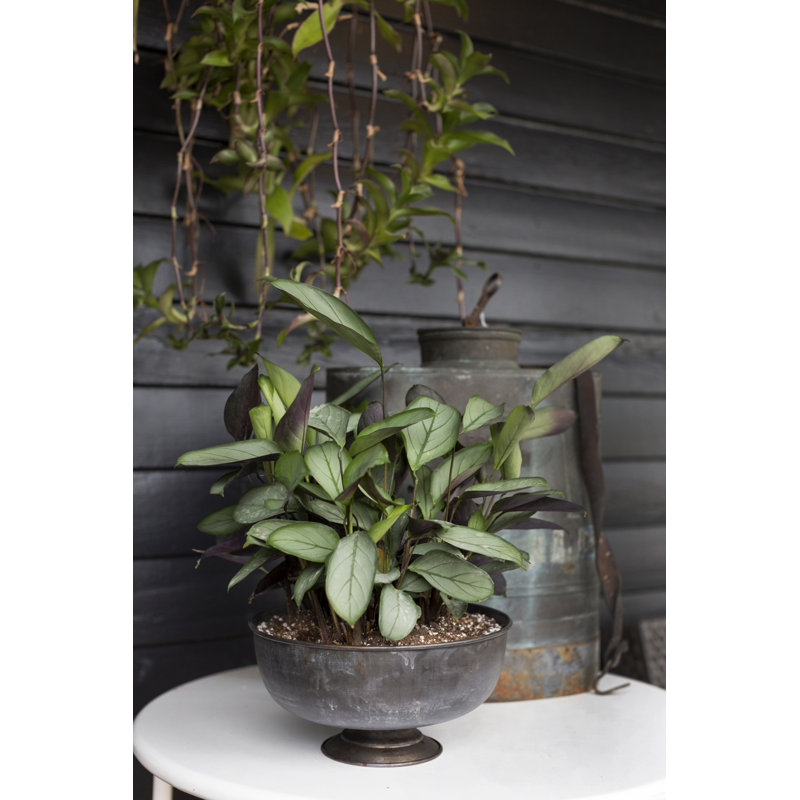 Vase de table en métal fait à la main, H 5 po x l 10,25 po x P 10,25 po