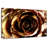 Gold Painted Rose