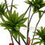 Plantes artificielles réalistes pour la décoration intérieure