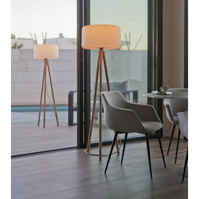 Ridgley 55 " LED Tripod Floor Lamp with USB and Outlet