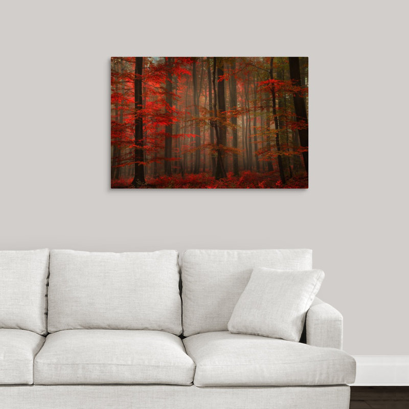 " Enchanting Red " by Philippe Sainte-Laudy, 24" H x 36" W x 1.5" D