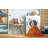 Indoor Rug-68542579