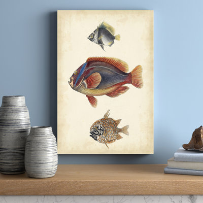 Antique Fish Species IV - Painting