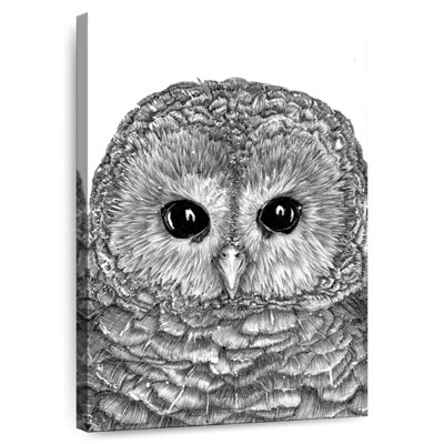 Petit hibou Brampt