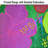 Tropical Flowers 40" Windsock