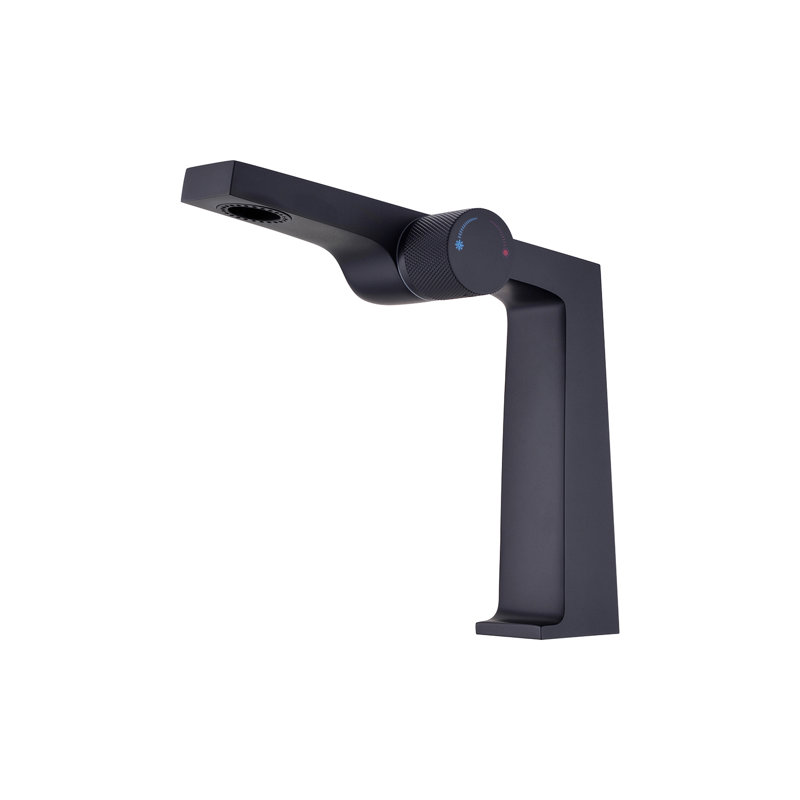 Robinet de salle de bain monocorps et monocommande, Noir mat