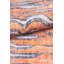 Tapis à motif tigre orange Hermione-1510436423