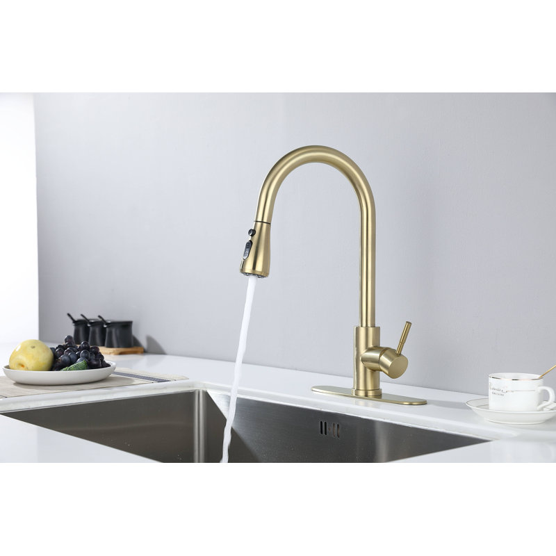 Robinet de cuisine à douchette extractible: Évier moderne | Idée de cadeau, Acier inoxydable doré brossé