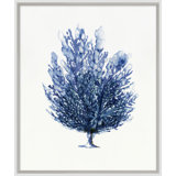 Sapphire Sealife 1 Print by Hamptons