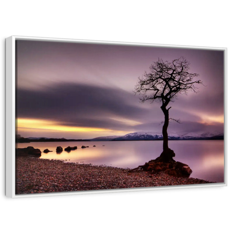Arbre Loch Lomond, Cadre flottant blanc, 31 po x 21 po
