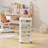 Book Storage Organization With Wheels