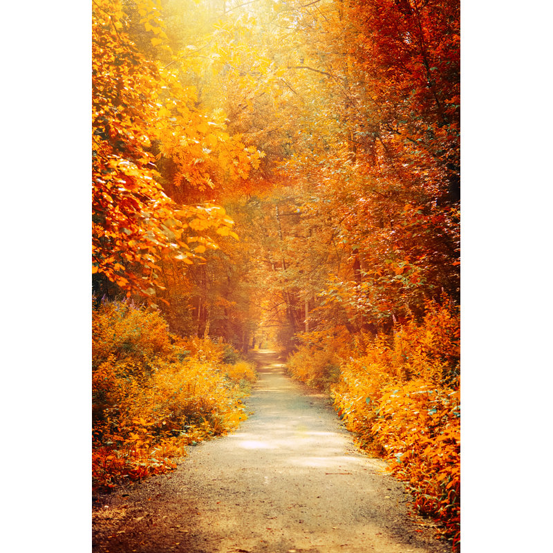 Paysage d'automne - Photographie sur toile tendue, H 12 po x l 8 po