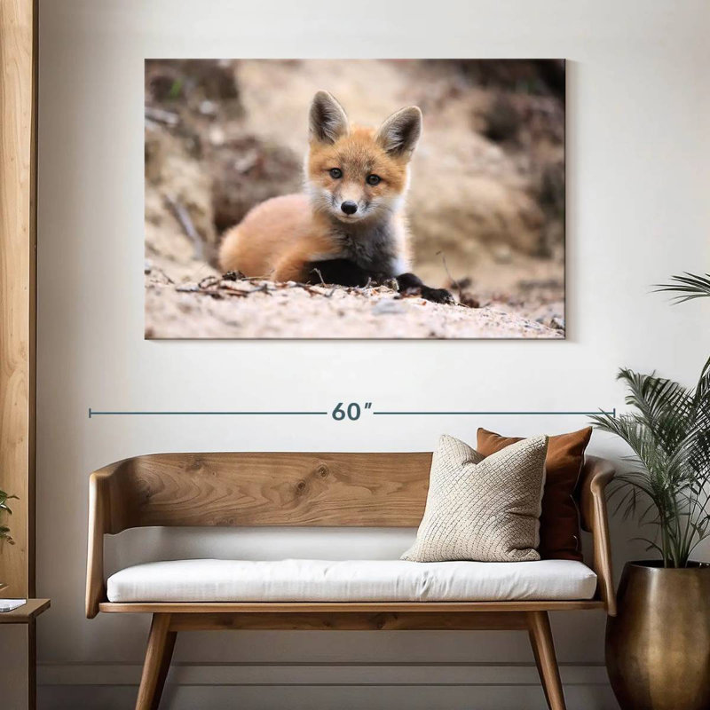 Petit renard brun, H 32 po x l 48 po