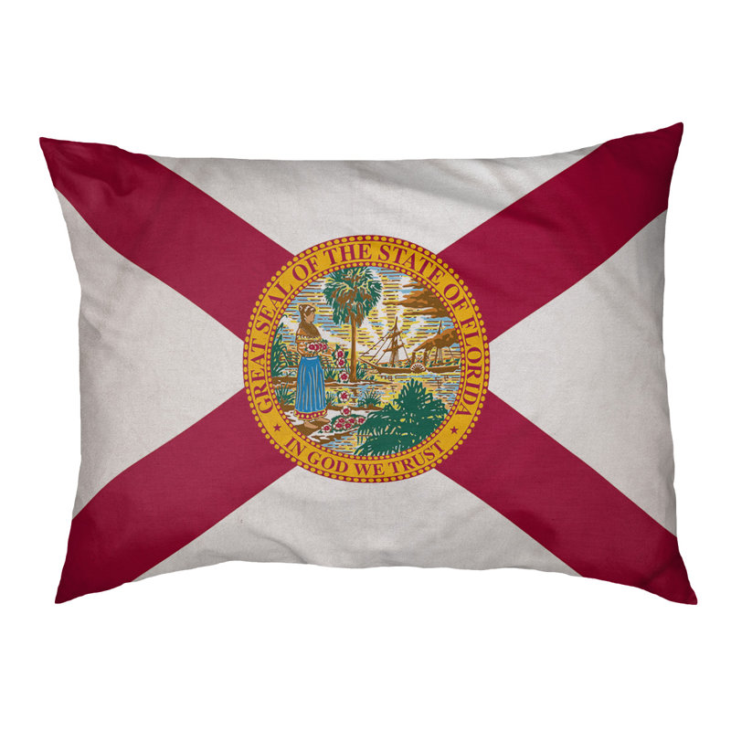 Coussin de concepteur à drapeau de floride Burien, L 19,5 po x l 29,5 po, Marron foncé