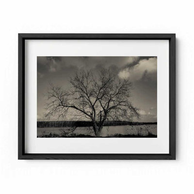 Baum Im Winter Print by Joseph Regan