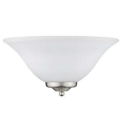 Anariya Steel Spotlight