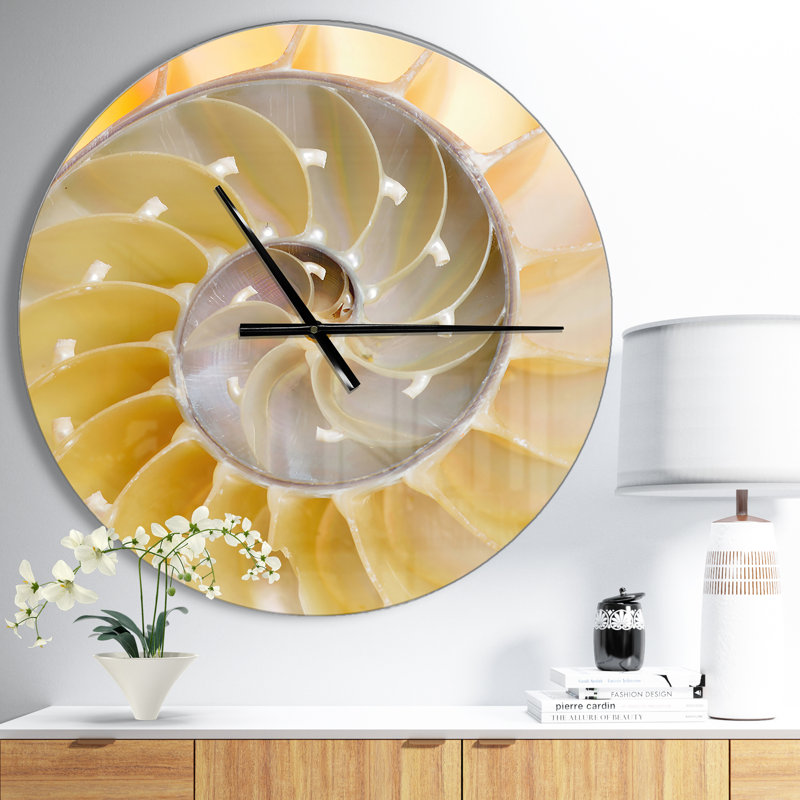 Coquille Nautilus isolée - horloge murale moderne, Moyen