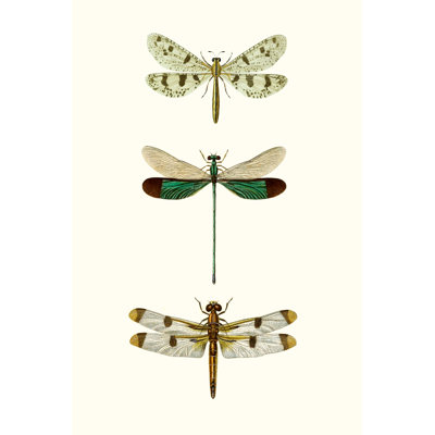 «Entomology Series VII», peinture sur toile