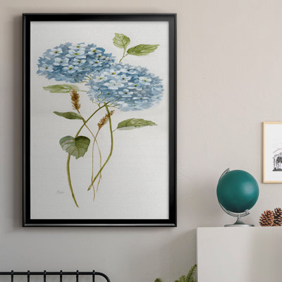 " Petite Blue Hydrangea II "