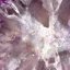 Crystallized Amethyst - Reproduction d'art graphique encadré-17698093