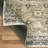 Myshawn Dua Distressed Border Brown Gray Beige Machine Washable Area Rug-1789711987