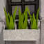 Planter