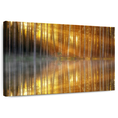 Kerrick Sunrise Forest Reflection