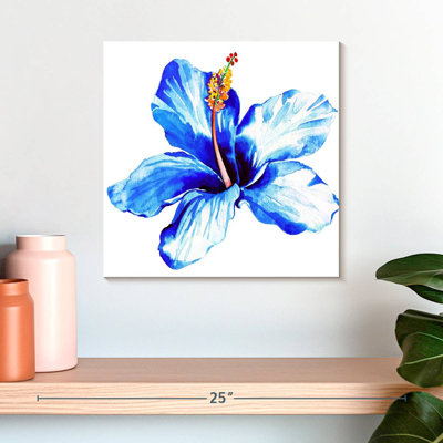 Hibiscus bleu vif