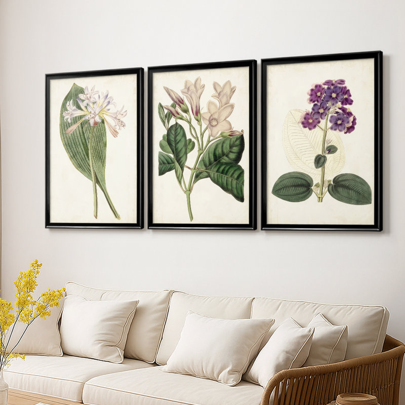 Antique Botanical Collection IV - Toile tendue avec châssis sur mesure - 3 pièces, H 15 po x l 19 po