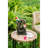 Decorative Woodland Gnome Water Fountain with LED Light