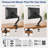 Single Monitor Arm for Desk - Gas Spring VESA Mount, No USB Ports 