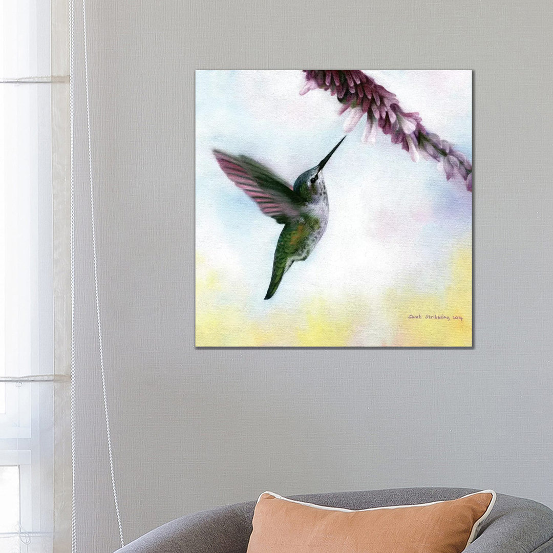 Anna's Hummingbird von Sarah Stribbling - Gallery-Wrapped Canvas Giclée