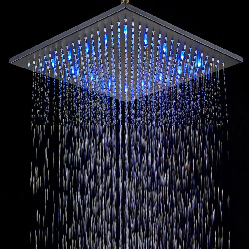Wellman Rain Adjustable Shower Head, Black