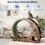 Roue d'exercice 4-en-1 pour chats d'intérieur, grande roue de tapis roulant de 40 po-2132437450