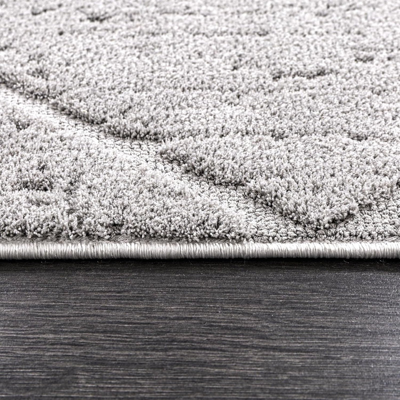 Beautiful Fluffy Area Rugs Soft Living Room Carpets Low Pile Bedroom Rug Non Slip Floor Mat - JL002, Rectangle 80 x 150 cm