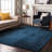 Premium Machine Washable Cerrito AMF554 Navy Rug-104020414