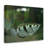 Archer Fish Hunting Archer Fish on Hunt Print Animal Wall Art-404664642