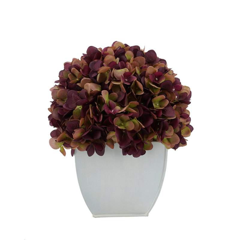 Arrangements floraux d'hortensias en pot, Prune